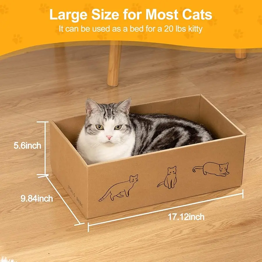 5 قطع من أدوات خدش القطط مع صندوق من Poils bebe، أدوات خدش قطط قابلة للعكس للقطط الداخلية، أداة خدش للقطط من الورق المقوى مع النعناع البري، 2 منحنى #6