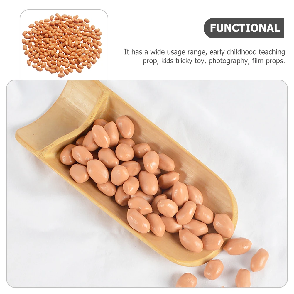 

Artificial Groundnut Kernels Lifelike Peanut Kernels Fake Nut Props Simulation Educational Photography Scene Decor