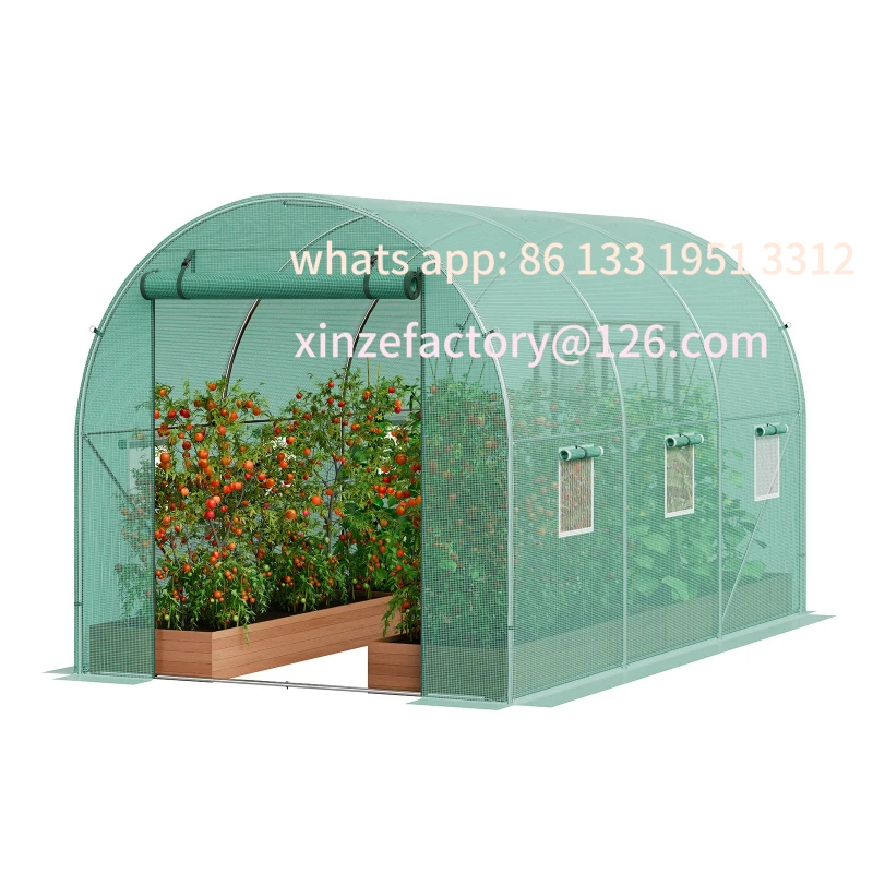 

Customizable Walk-in Tunnel Greenhouse Hoop House Greenhouse Tunnel Plant Hot House with Steel Frame PE Cover Roll-up Z