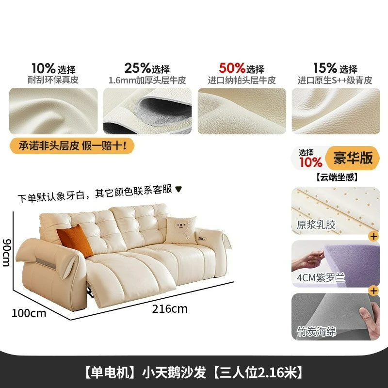 Customizable Cloud Puff Little Swan Small Unit Cream Wind Zero Wall Function Electric Sofa
