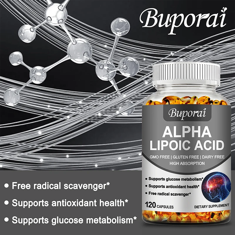 Capsules d'acide alpha lipoique – Antioxydants puissants favorisent la santé neurologique, le soutien cardiovasculaire