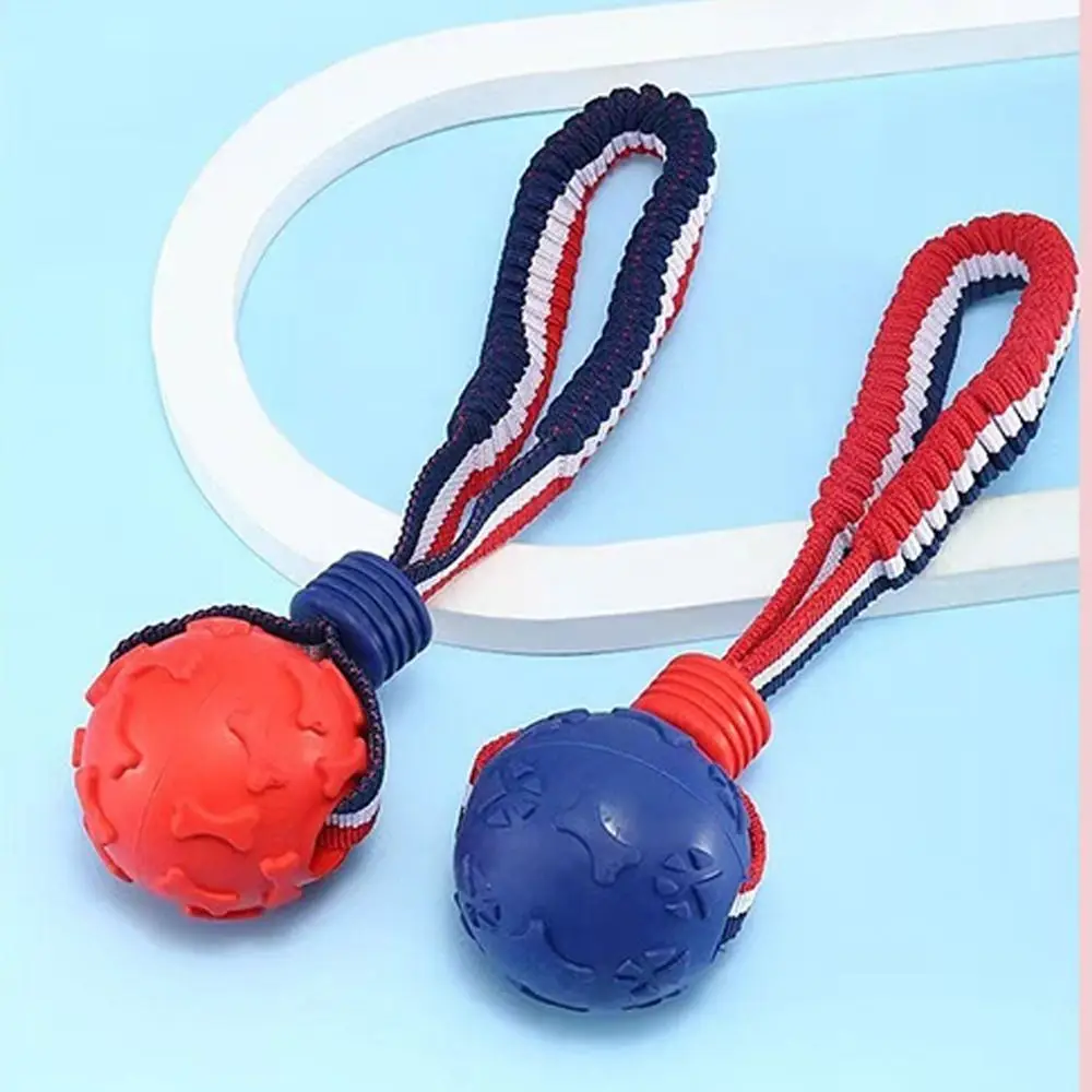 Creative TPR Dog Chew Toy Teeth Cleaning Interactive Dog Training Ball Elastic Pet Bungee Rope Ball for Small Medium Large Dog