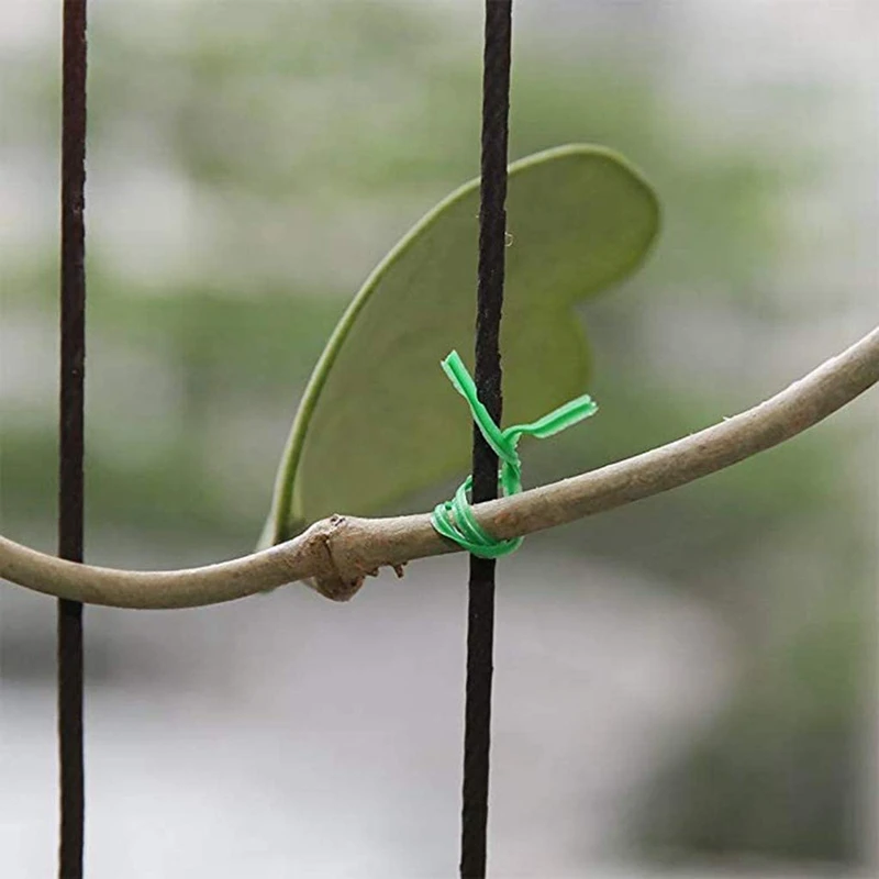 Berkebun kawat terpilin dengan berkebun memutar kawat hijau, penggunaan di rumah, kantor (20M, hijau)