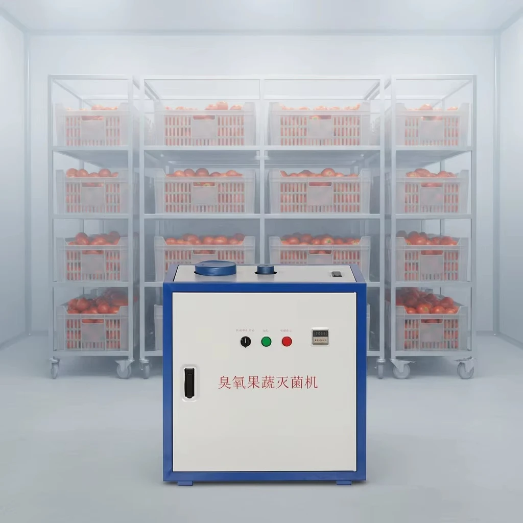 Ozone Sterilizer for Cold Storage  Eco-Friendly Freshness Preservation Equipment  Tomato Preservation