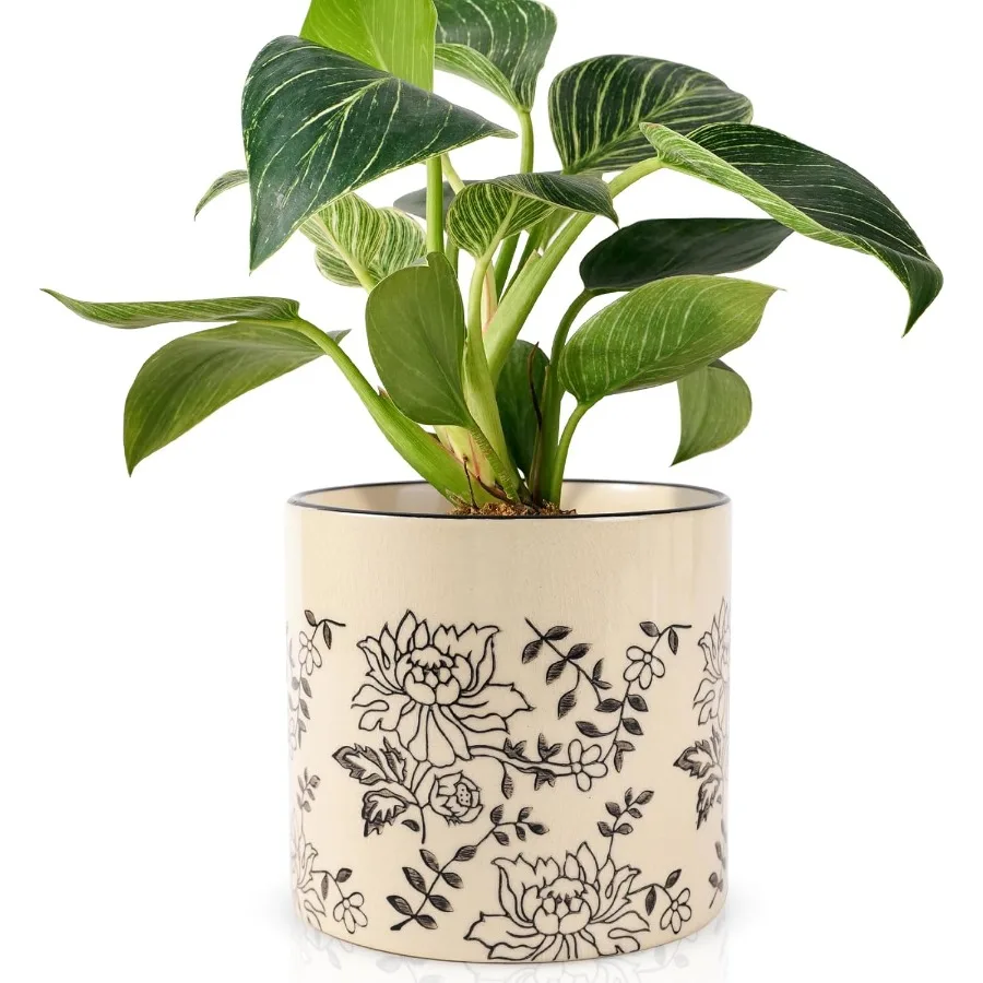 

Indoor Ceramic Plant Pots with Drainage Holes 5 Inch Cute Succulent Flower Pots Small Orchid Planter Pots for Indoor Plants Gar