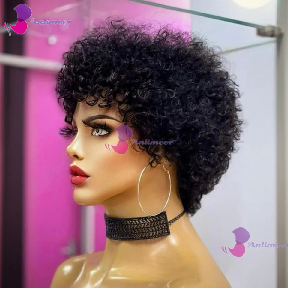 Tight Afro Kinky Curly wig Human Hair Full Lace Wigs Afro Kinky Curly Full Lace Wigs HD Transparent Natural Hairline Free Part