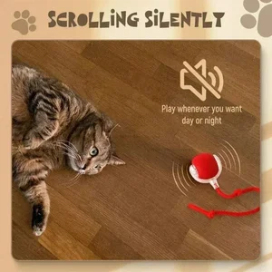 12 Main Sales Cat Toy - №8