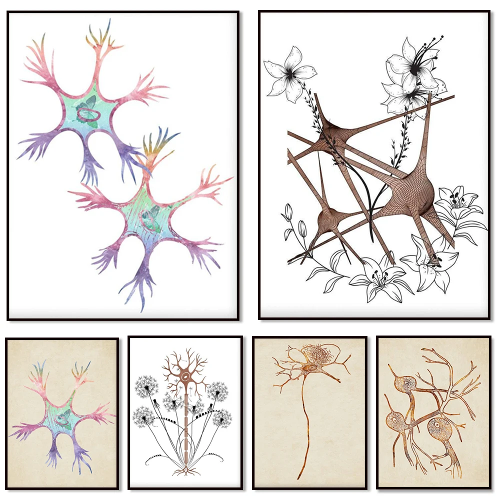 

Nerve cells, neuron types, bio art, brain art, anatomy, neuron printing, neuroscience gifts, nerve tissue, doctor office decor