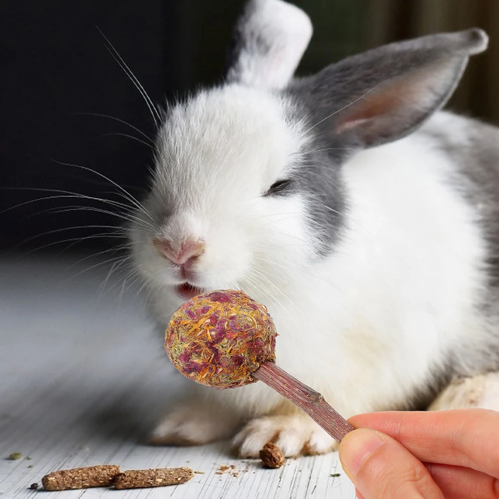 

9Pcs Pet Chewing Sticks Natural Wooden Bunny Hamster Rabbit Small Animal Teeth Cleaning Chew Playthings Guinea Pig Comforting