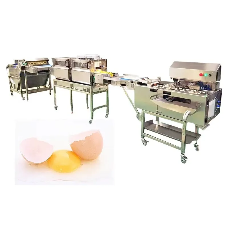 Industrial Mini Egg Washer Egg Washing Breaking Processing Line Shell Cracker Separator Durable