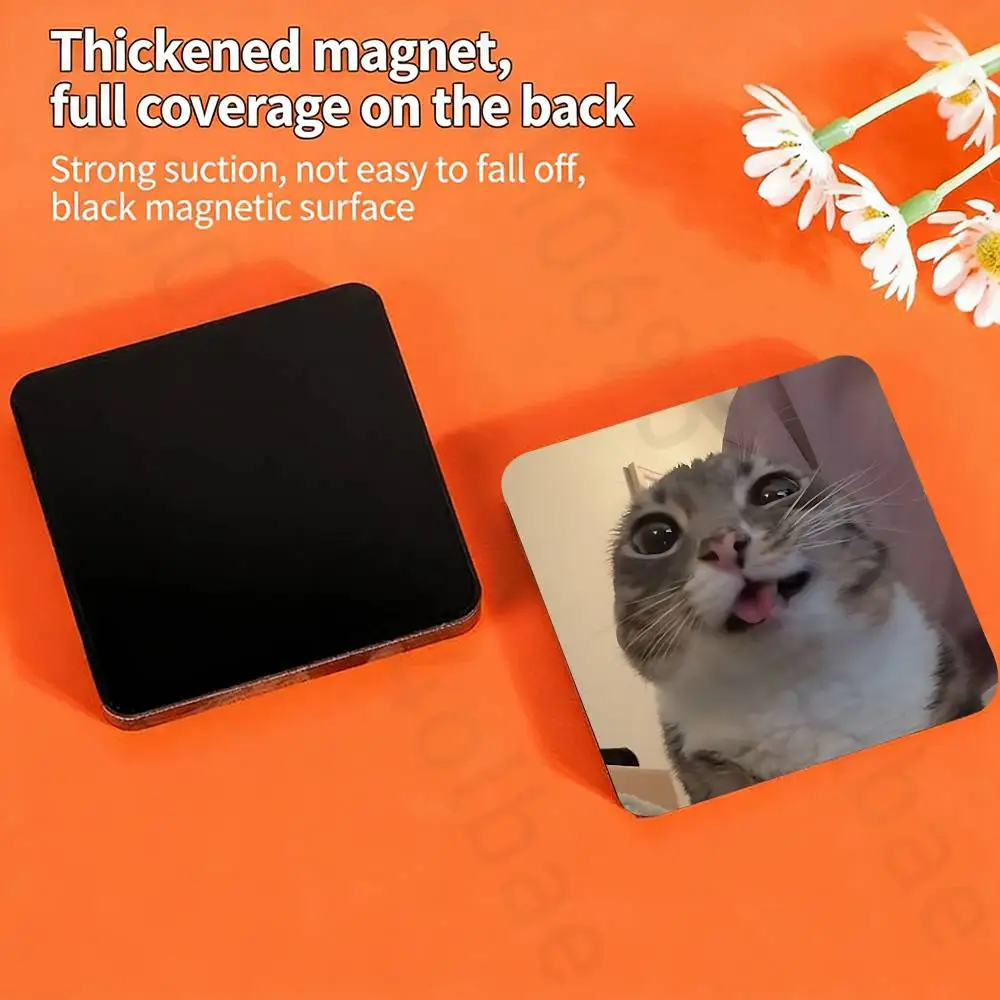 Funny Cat Meme Fridge Magnets Magnetic Refrigerator Memorial Gifts For Kitchen Office Locker Travel