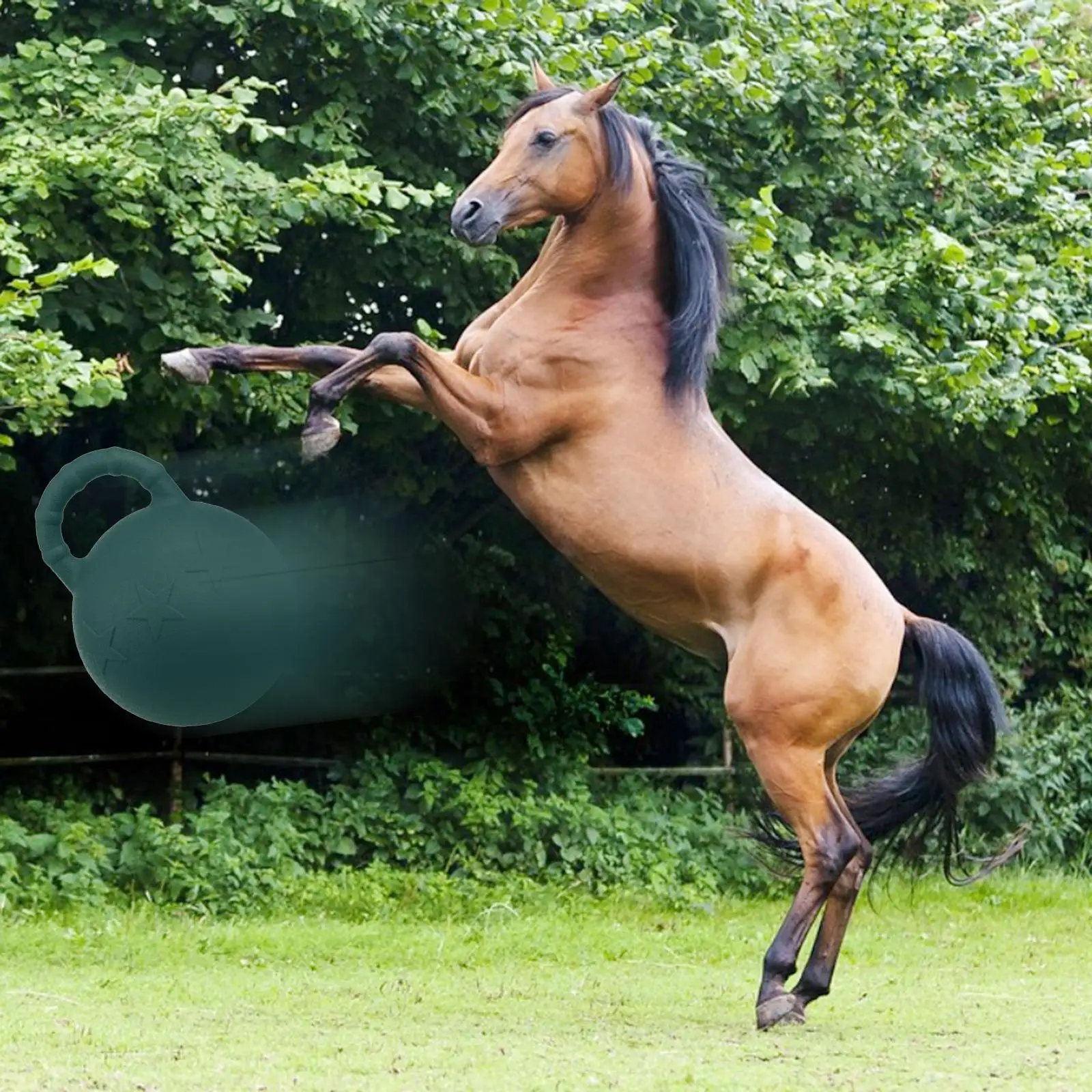 Pelota de goma de 25cm Para Caballo, juguete para perros, bolas de rebote con mango