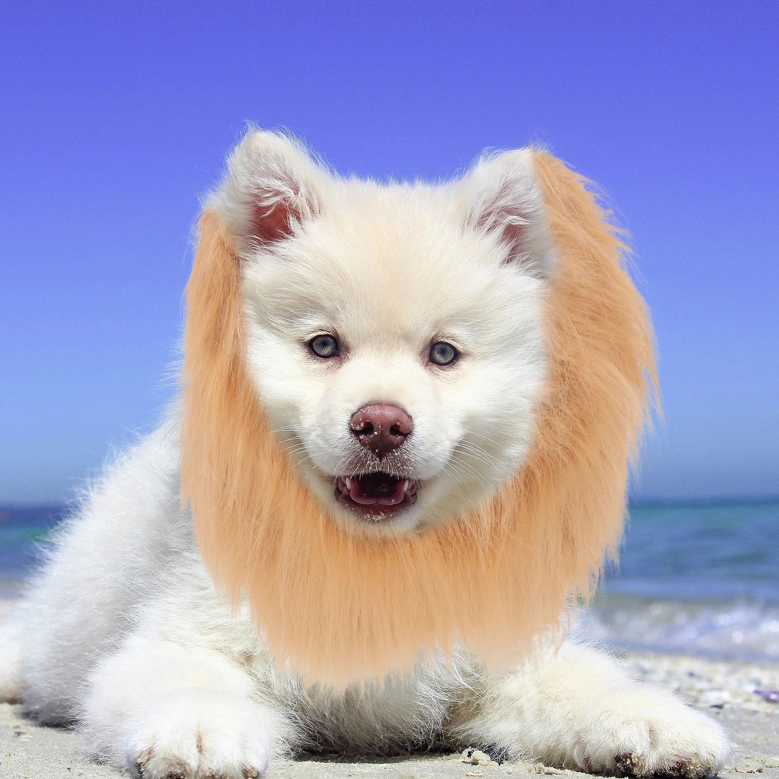 

Funny Lifelike Lion Mane for Dogs Brown Synthetic Hair Neckchief Collar Adjustable Strap Perfect for Dog Costumes on