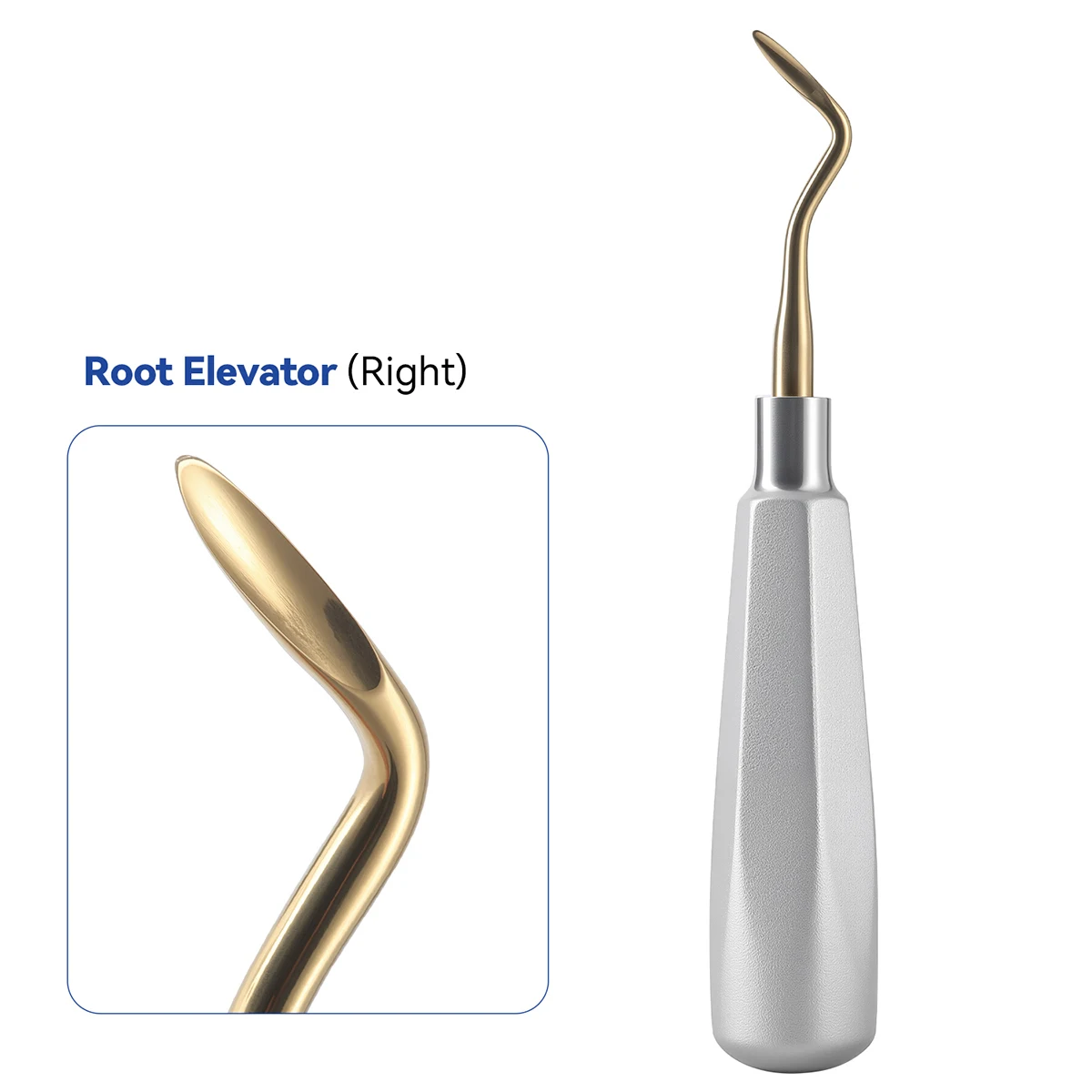 1Pc AZDENT Dental Aufzug Edelstahl Zahnarzt Chirurgische Instrument Zahn Extraktion Gerade Dreieckige Zähne Aufzug – Detail 13