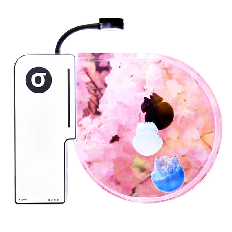 Professional jellyfish empty tank special tank fish tank aquarium family color open small desktop DIY