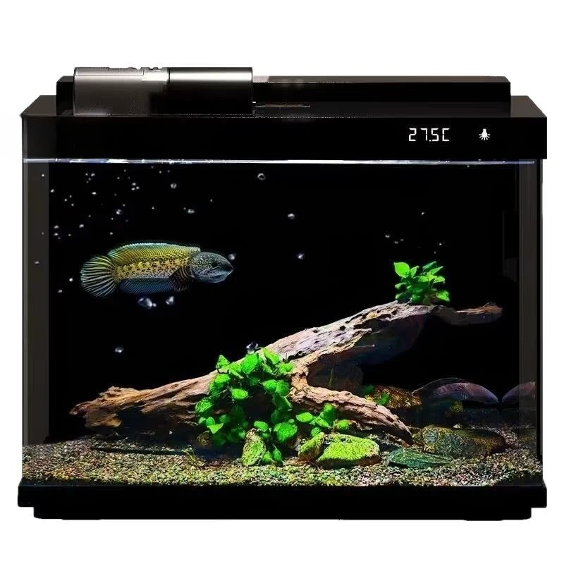 

glass fish tank, living room, small household, aquarium, ecological, no water change, filtration and oxygen production