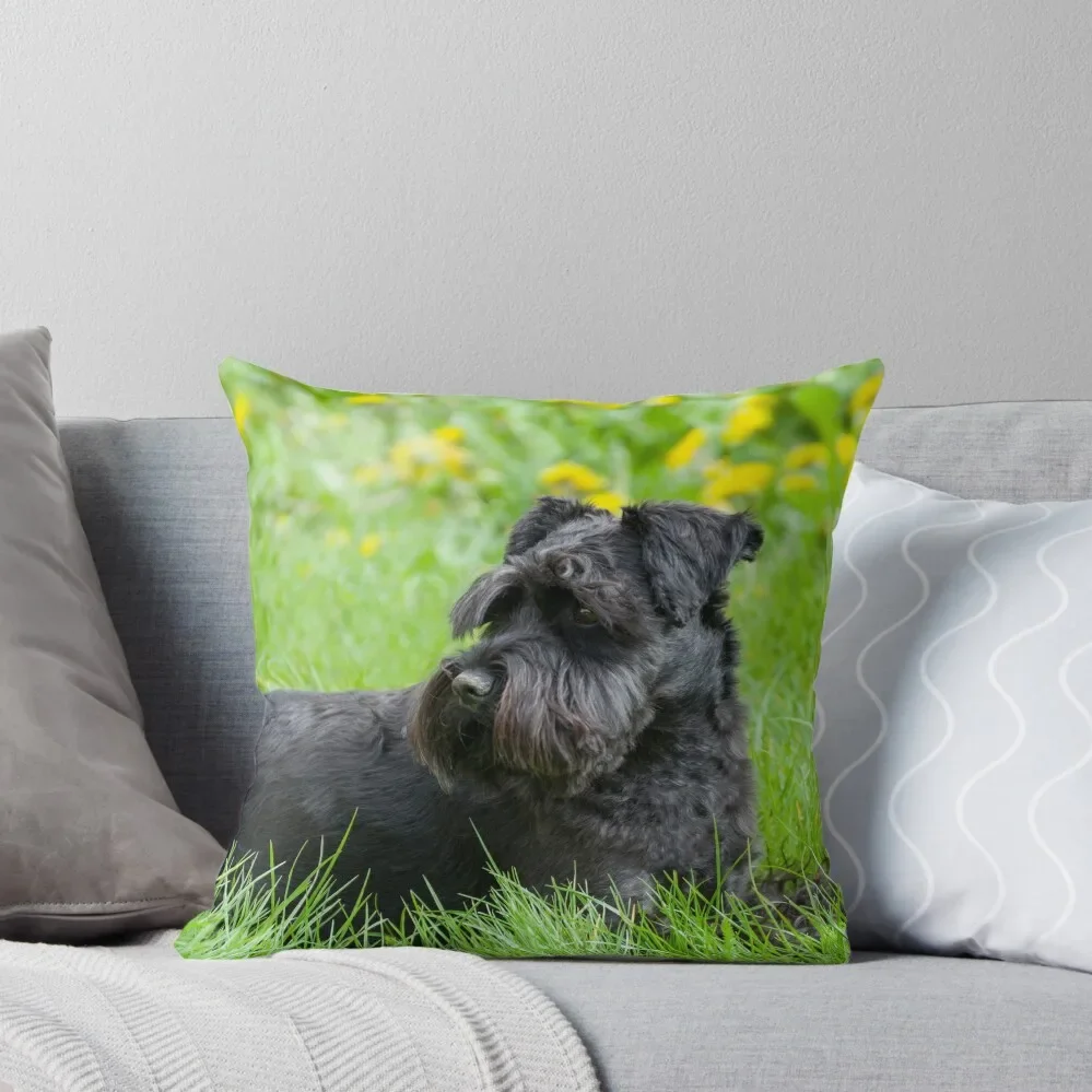 

Black Miniature Schnauzer Dog Throw Pillow Luxury Pillow Cover luxury throw pillow covers covers for pillows