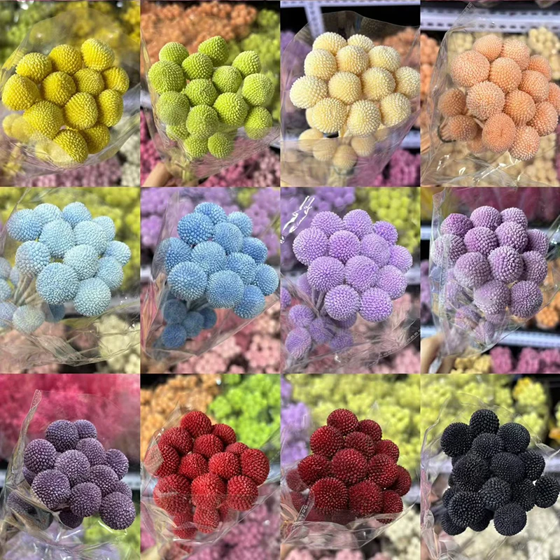 

20PCS DIY Dried Flower Bouquet Golden Ball Flowers, Eternal Preserved Floral Arrangement Home Decor & Photography Props
