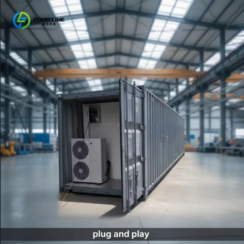 20ft Prefab Cold Storage Container Plug and Play Refrigeration for Food Cold Room Use Custom