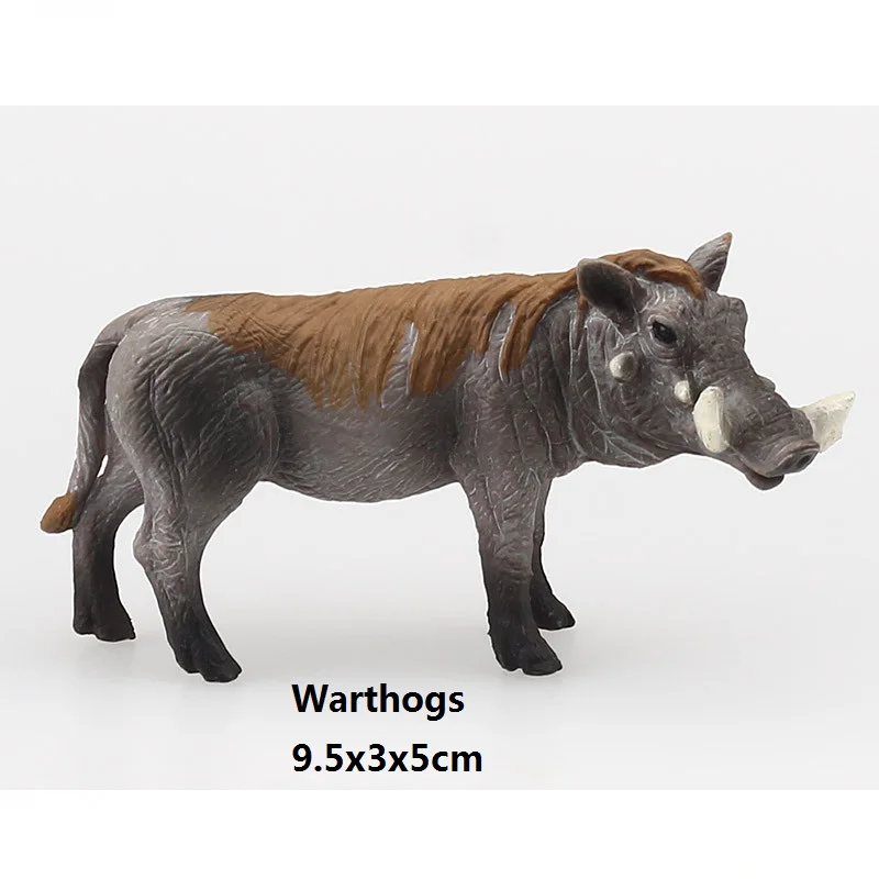 Simulation Animnal Warthogs Cognitive Model Plastic Handicraft Teaching Tool Decoration Toy gift A0077