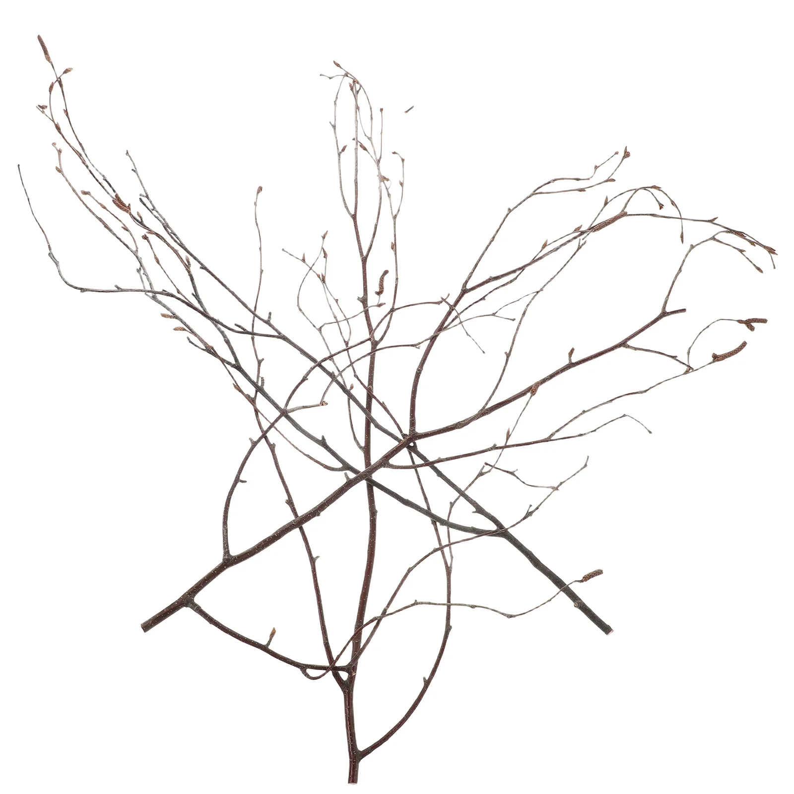 

20Pcs Birch Branch Sticks Natural Wood Craft Floral Stems for Wedding Arrangement Home Decor Vase Fillers Dried Plant Twigs