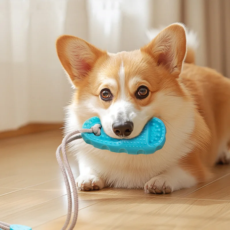 Juguete de tracción para perros medianos y grandes con ventosa - imagen 2