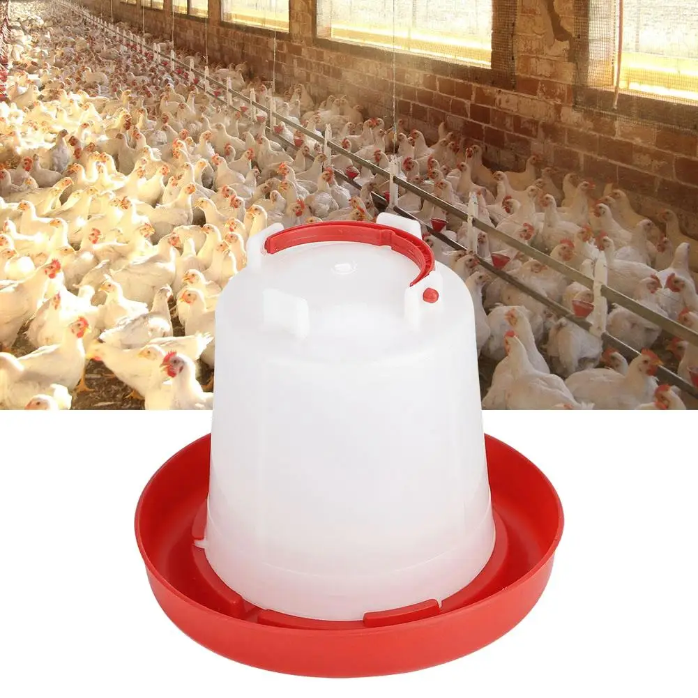 Imagem -04 - Alimentador Automático de Frango e Balde Dágua Fácil de Desmontar e Limpar para Galinhas e Pintinhos