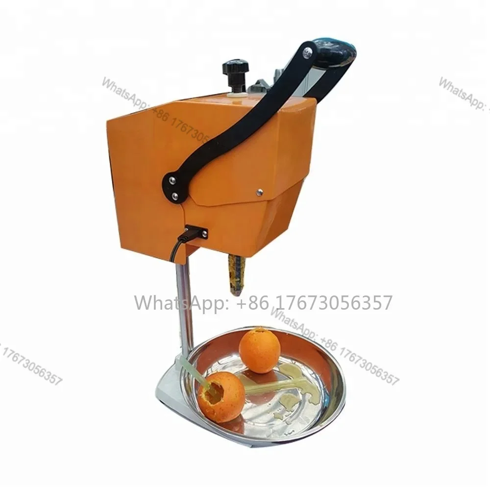 Hot Selling Low Speed Fresh Fruit Juicer Machine Mini Blender Pitaya Orange Fresh Orange Juicer Without Peeling 1 00% Pure Juice