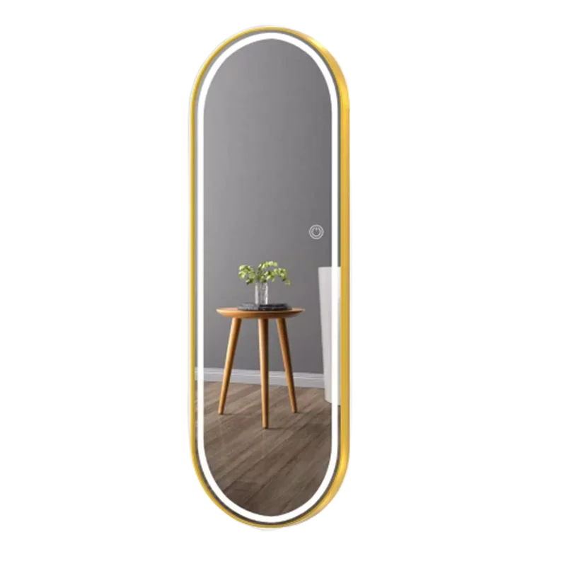 Oval Wall Bathroom Mirror Women Vanity Nordic Luxury Bedroom Mirror Large Standing Specchio Da Parete Home Decoration Luxury