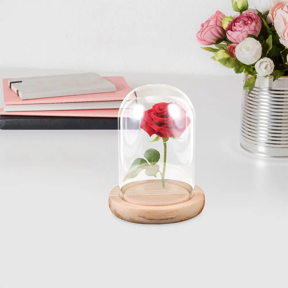 

Glass Display Dome Cloche for Collectibles Decorative Plant Cases Preservation Globe Elegant Wood Base Desk nament