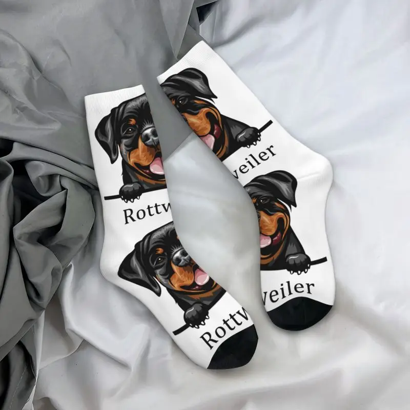 Rottweiler cão vestido meias para homens mulheres quentes engraçado novidade animal de estimação tripulação meias