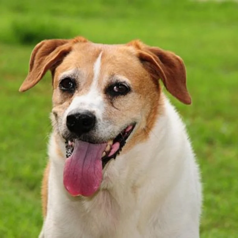 

Diameter 27mm Metal Wheel Hub Tire for RC Car 1/24 1/28 DriftArt DA4 DLR8 Wltoys K969 HGD1 XRX DRZ ATM DB Mini-Q