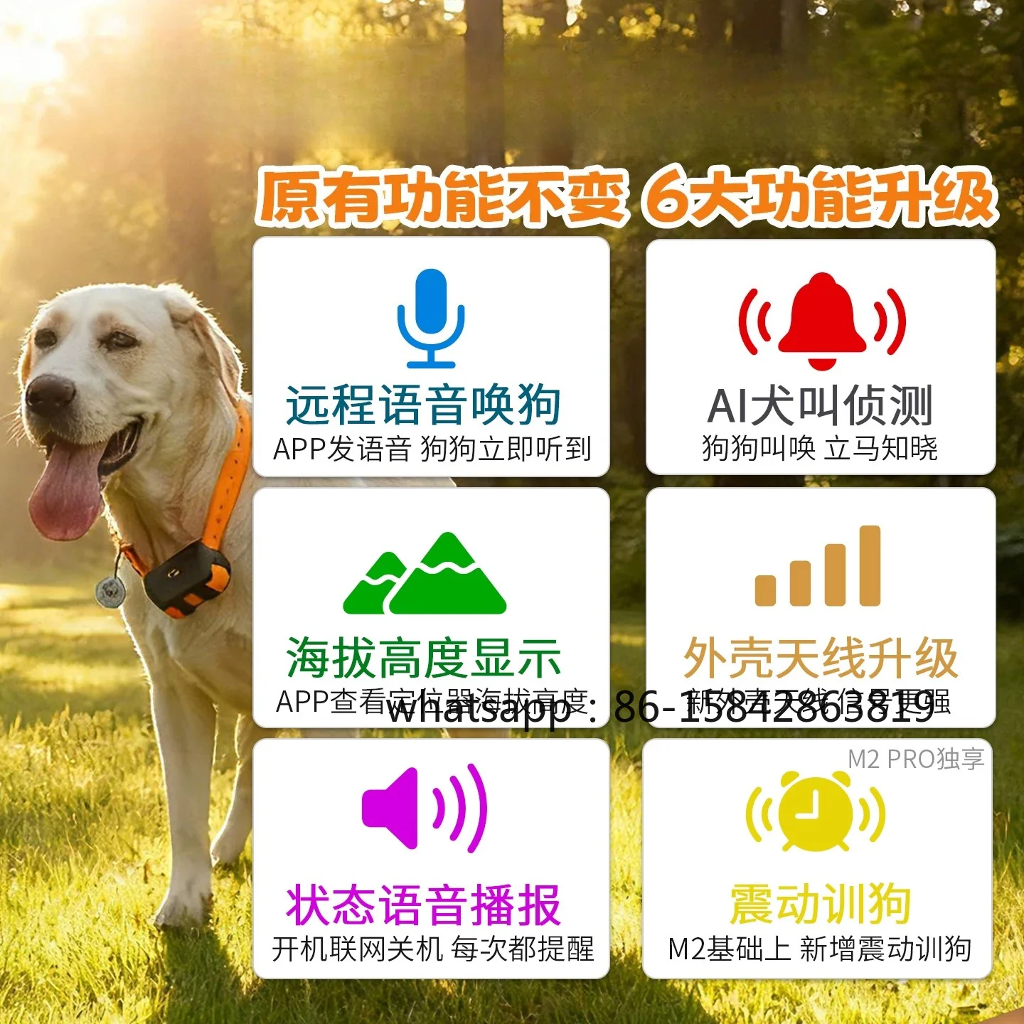 M1pro GPS Satellite Pet Dog Beidou Tracker Collar Search Hound Cattle Sheep Horse