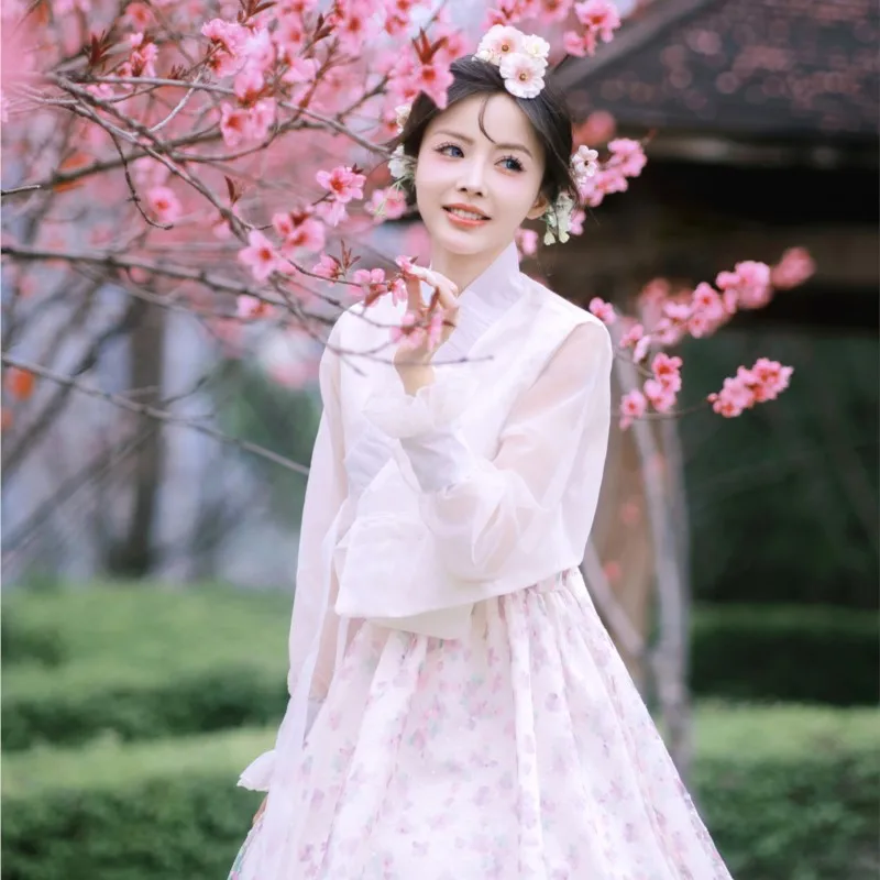 

Hanbok Korean Clothing Female Noble Court Dress Daily Performance Traditional Yanji National Costume Photo Trip Shoot