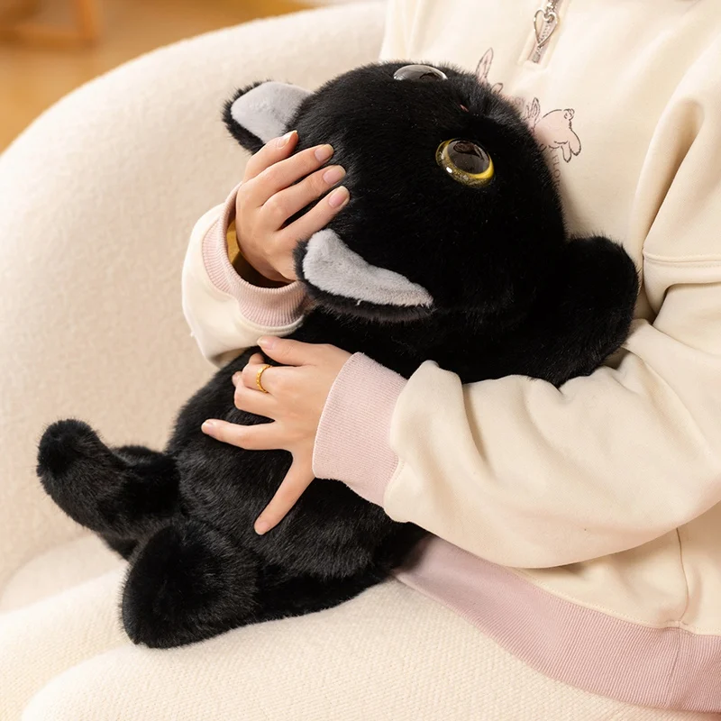 Levensechte grote ogen huisdier kitten knuffels gevuld zwart wit siamese ragdoll kat kitten poppen zacht gezellig dier sierkussen cadeau