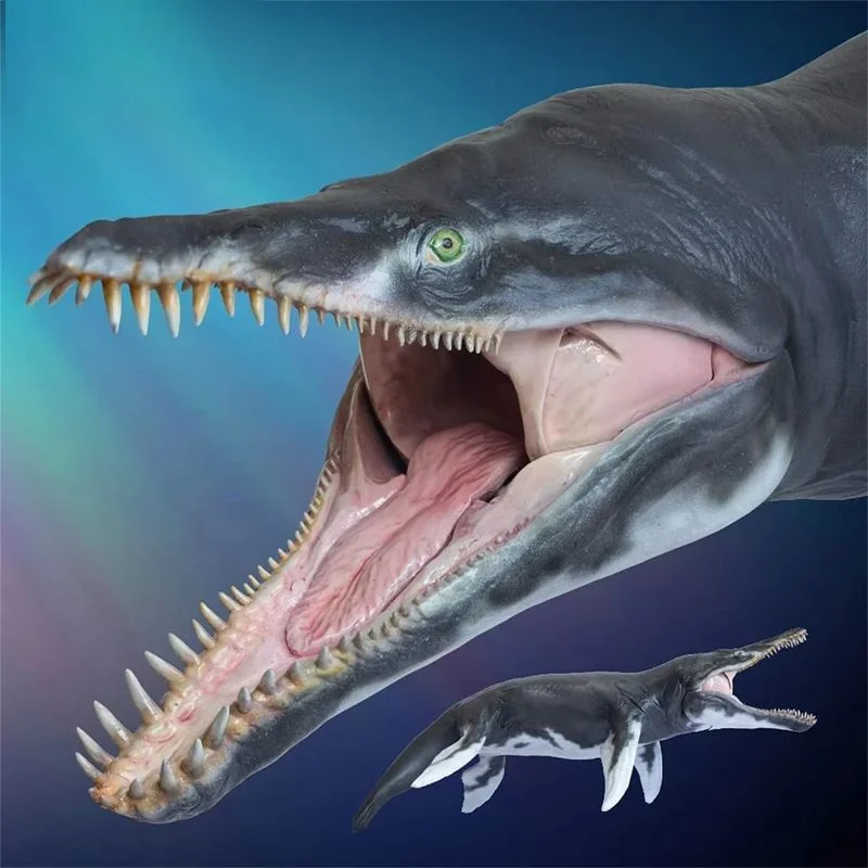

МОРСКАЯ МУЗЕЯ JEFF KRONOSAURUS 1:35 НАУКТИЧНАЯ МИСТЕЦТВА МОДЕЛЬ Коллекционная модель животных для взрослых и детей, образовательная игрушка в подарок