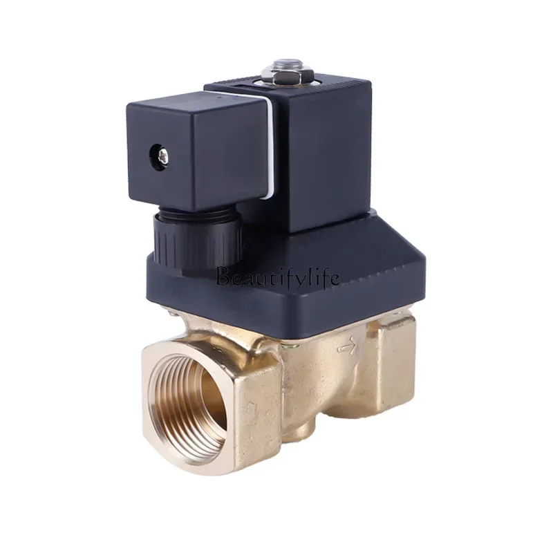 

5281 Series Two-Position Two-Way Pilot Stainless Steel Solenoid Valve