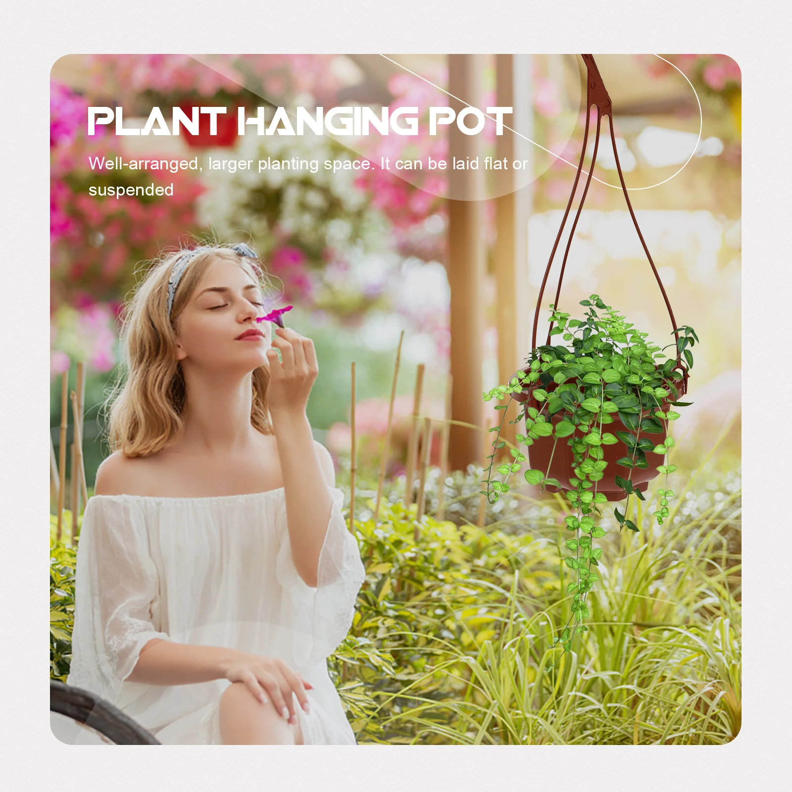 

6Sets Plant Hanger Pot Exquisite Workmanship Large Space Hanging Flower Container for Chlorophytum Orchid Succulents Home