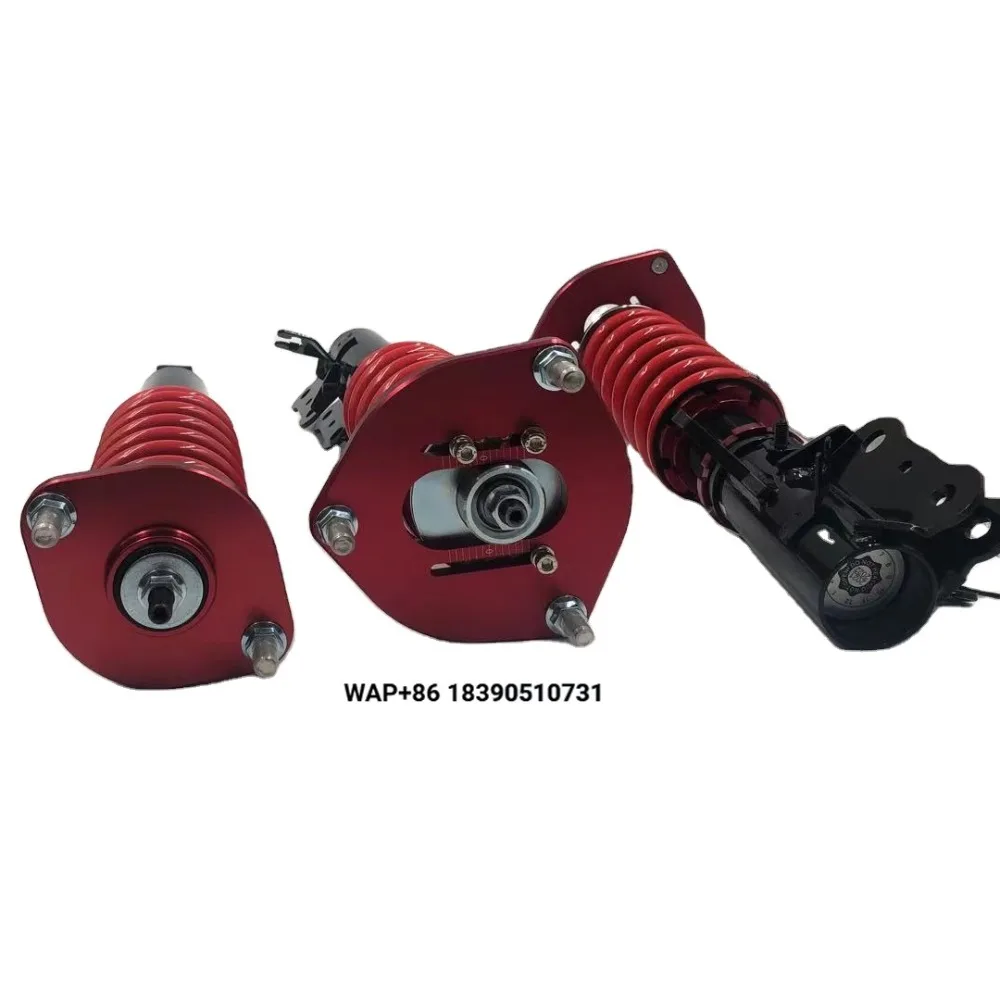 

USA American Market OEM Adjusting Height and Damping Coil Spring Car Shock Absorbers