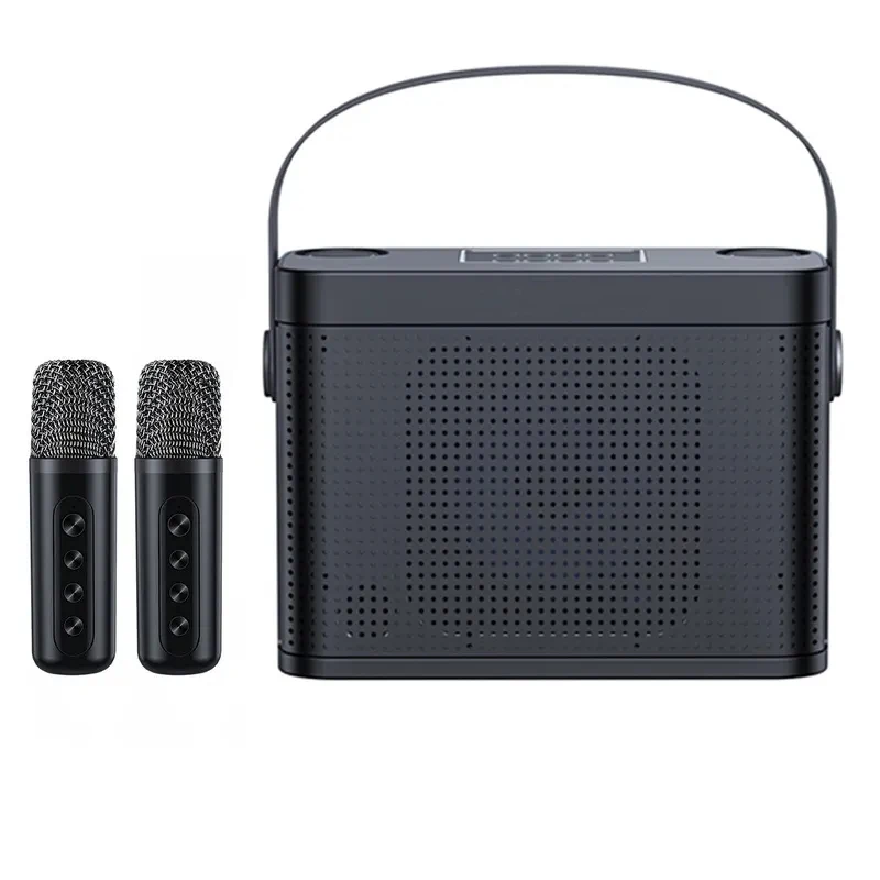 High Power Karaoke Bluetooth Speaker Portable 360 Stereo Surround Waterproof Wireless Subwoofer with Dual Microphone Boombox