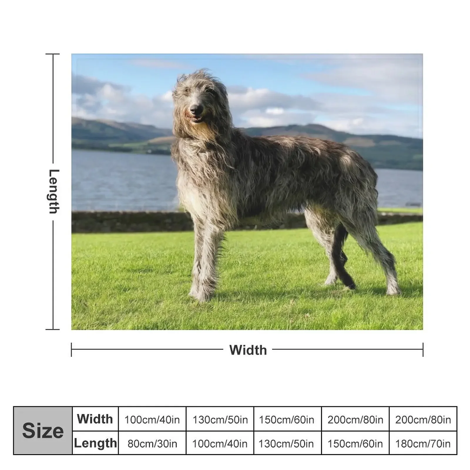 Stunning Scottish Deerhound in Scotland Throw Blanket For Sofa Thin Stuffeds Blankets