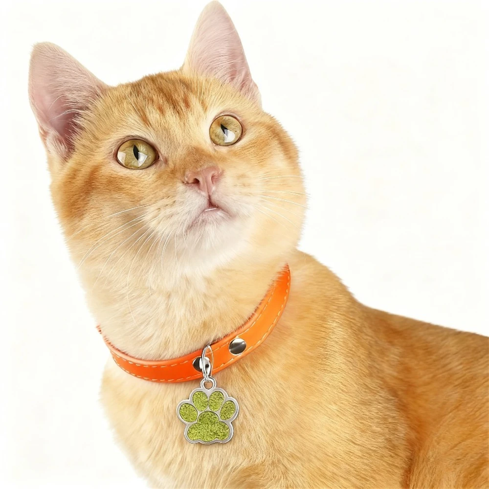 Personalisierter Text Hunde- und Katzen-Anhänger, individuell graviertes Haustier-ID-Namensschild, Edelstahl-Pfoten-Glitzer-Anhänger, Haustierzubehör für Hunde – Detail 9