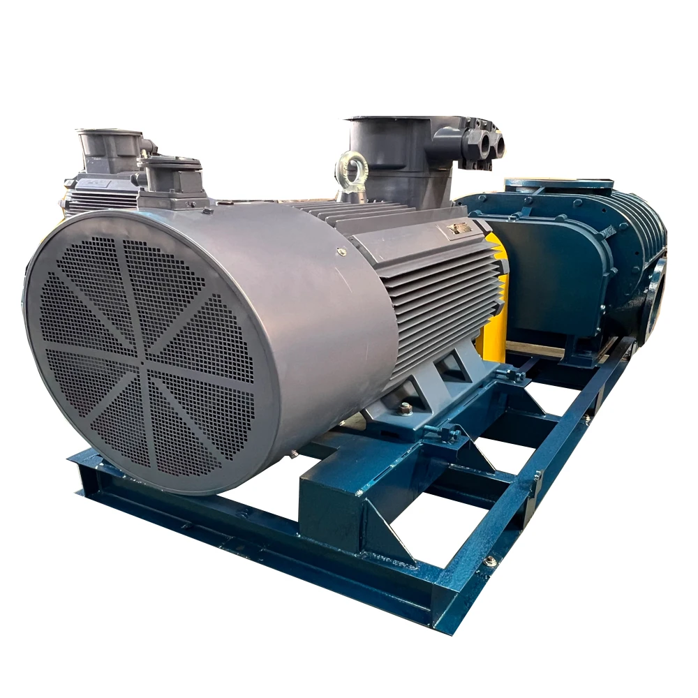 

Roots Blower Air Blower 3-Lobe Roots Air Blower For Industrial Wastewater Treatment