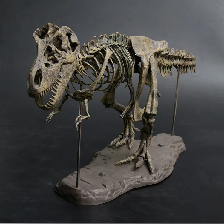 

4D Large DIY Dinosaur Skeleton Toys Ornament Simulation Model Assembled Skeleton Park Fossilized Dragon For Kids Boys Collection