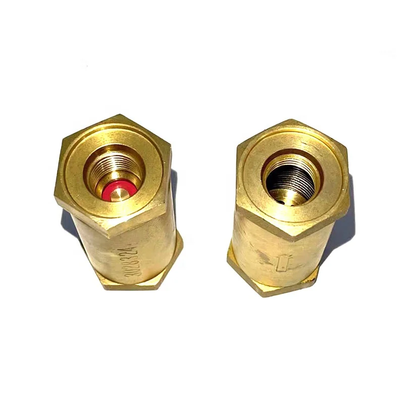 3028324 3028325 Is Suitable for the Check Valve of Cummins Engine KTA19 diesel Engine NT855 Generator Set