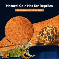 Reptile Pet Box Mat Supplies Shougong Coconut Coir Mat Material Silk Pet Live Aquascape Mat Reptile Turtle Breeding Box Coconut