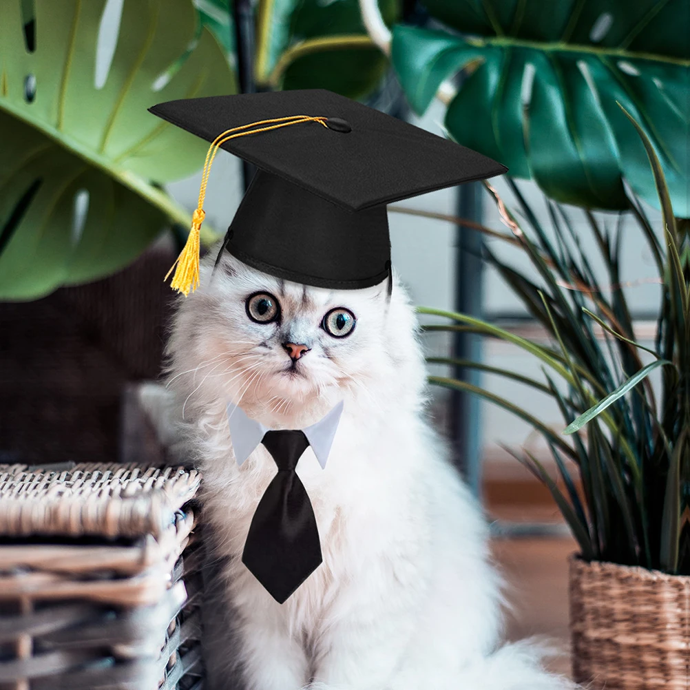 

Tie Set Black Graduation Dog Cat Hat Outfits One Size Fits Most Puppy Toy Hat Pet Supplies