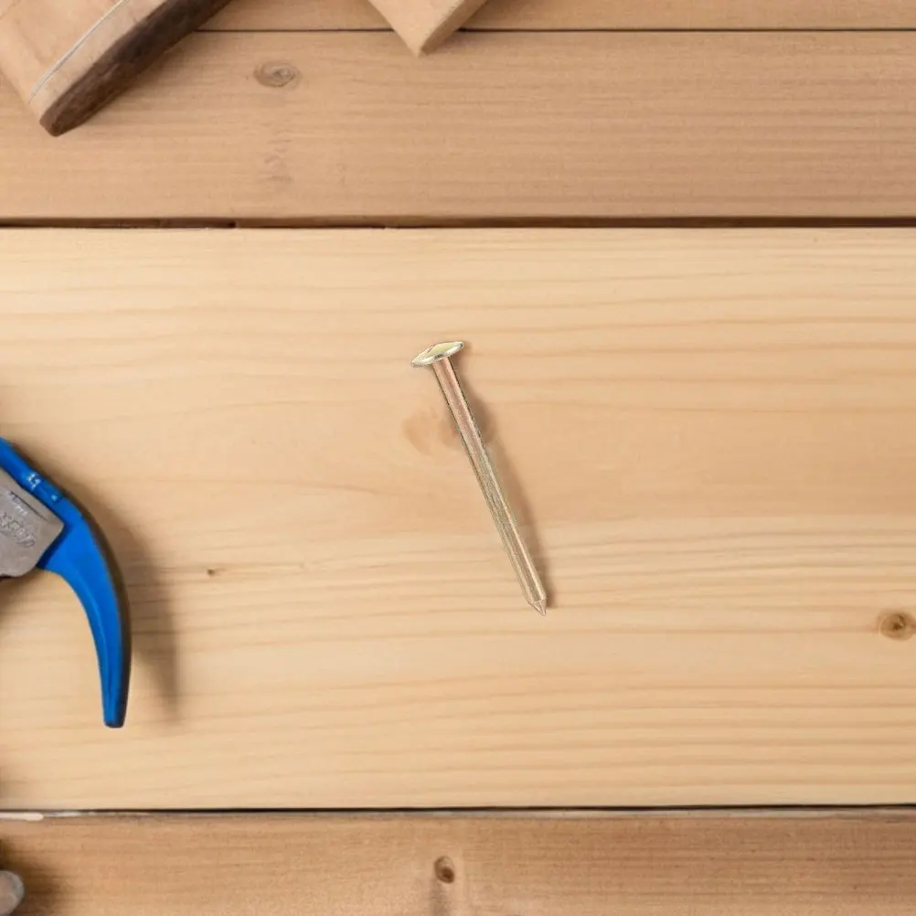 

10pcs Measurement Mark Nails High Precision Survey Stakes For Control Level Observation Reusable Galvanized Ground Lawn Pegs