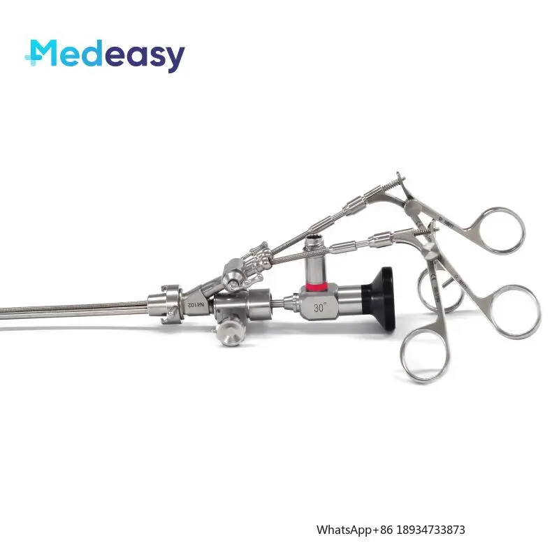 Urology endoscope with working elements double channels, urology cystoscope 30 degree 4*302mm