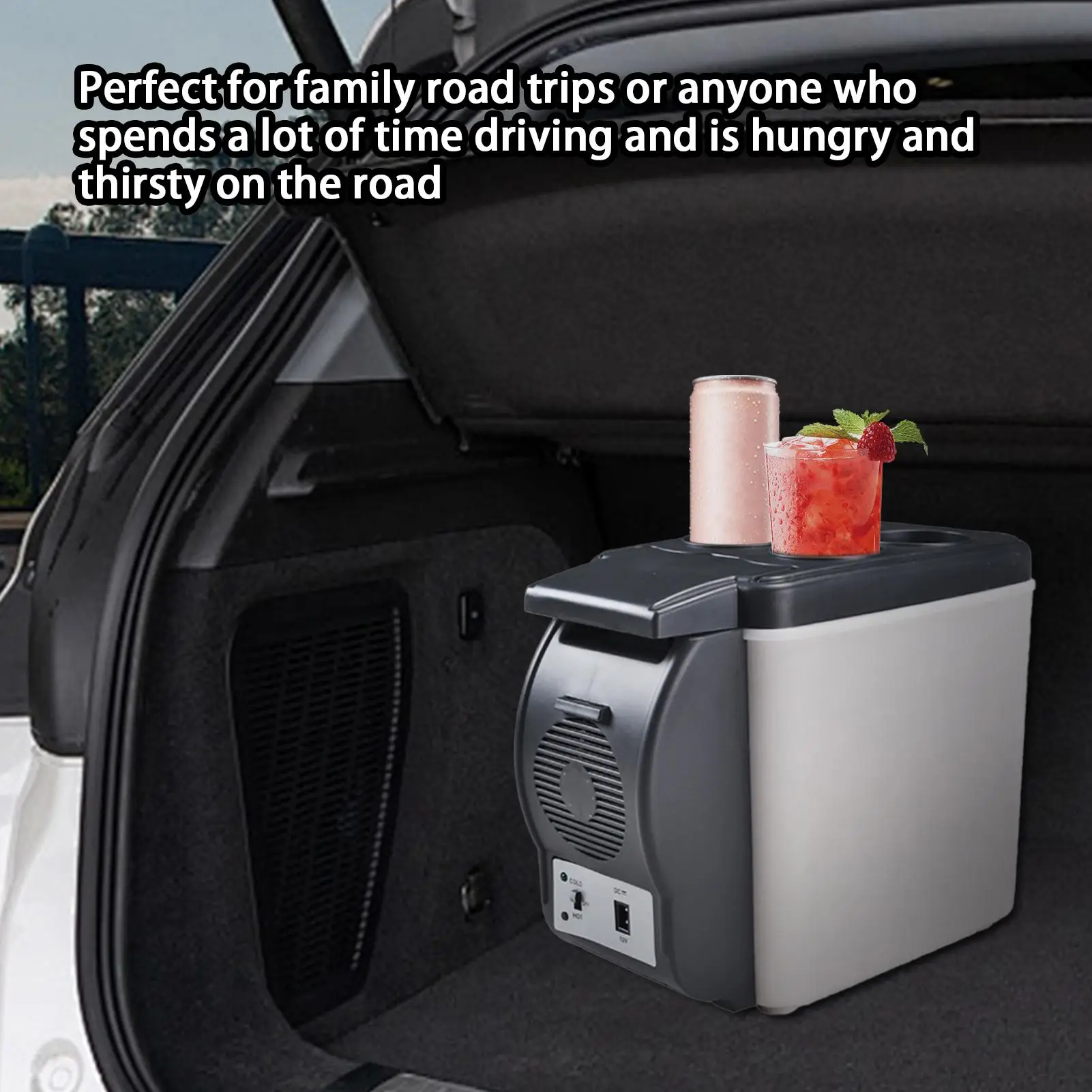 Electric Car Fridge…